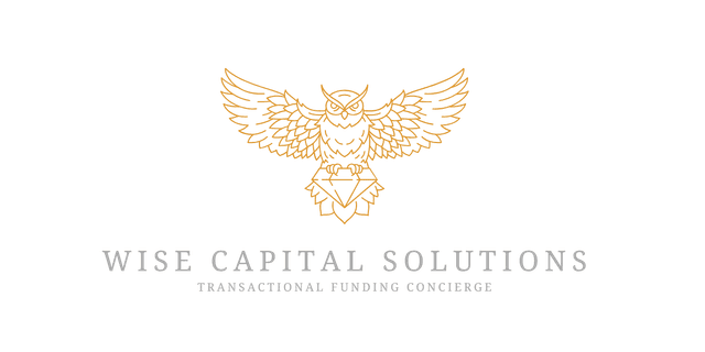 Wise Capital Solutions